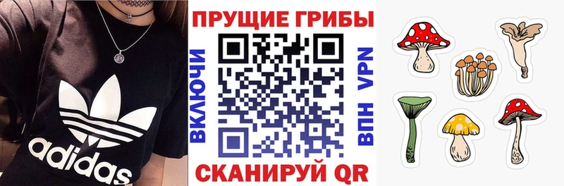 Псилоцибиновые грибы мицелий  Новомосковск 