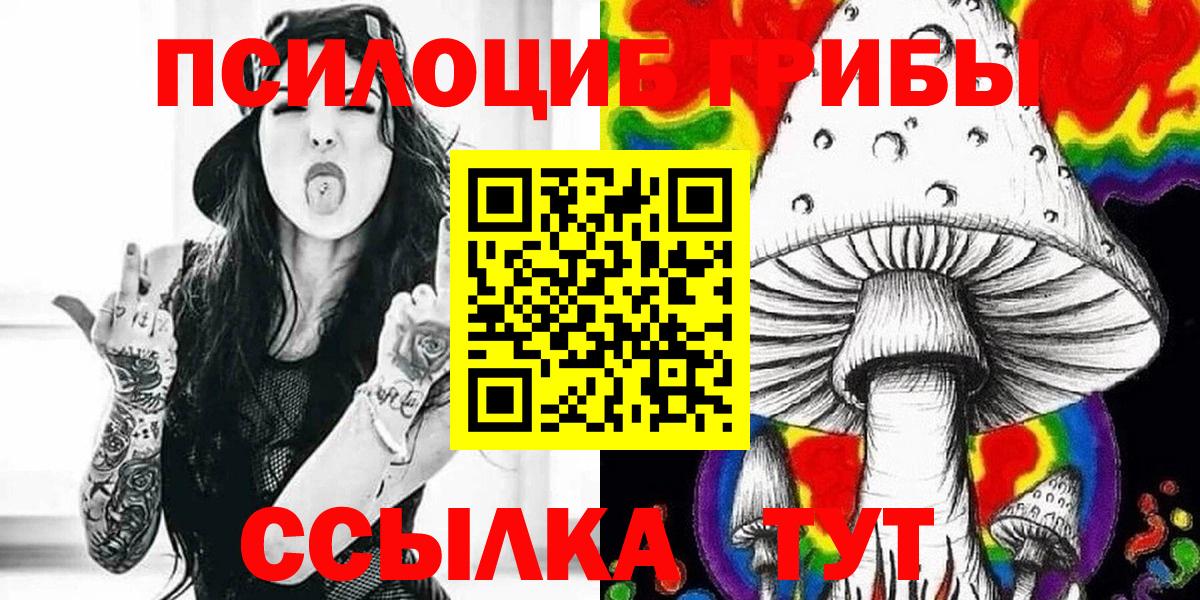 Псилоцибиновые грибы Cubensis  Вход с VPN  Псилоцибиновые грибы GOLDEN TEACHER  купить наркоту  Новомосковск 