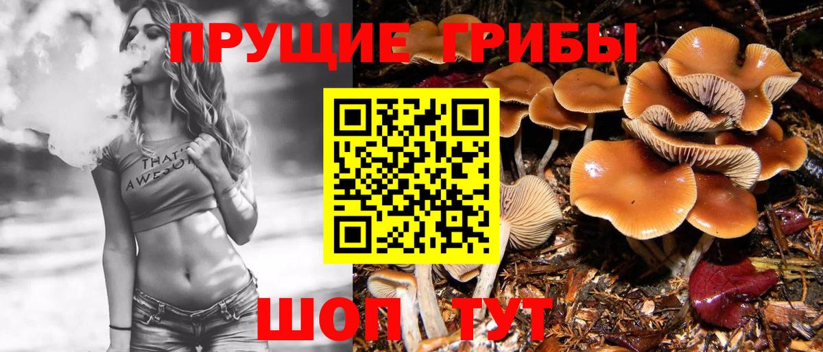 Галлюциногенные грибы мицелий Новомосковск